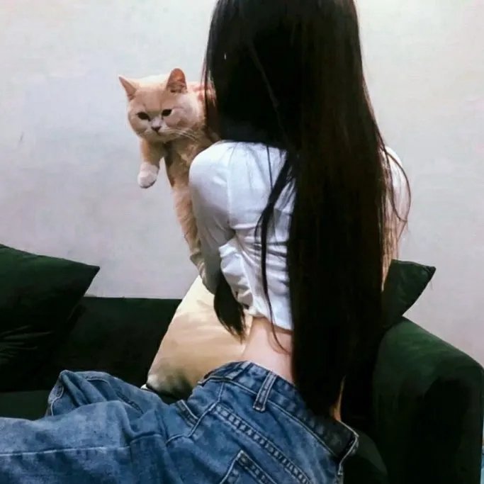 啼笑姻缘